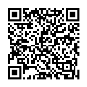 看着脚下铁龙宗在广场上的一干低阶弟子一个个抬起头来二维码生成