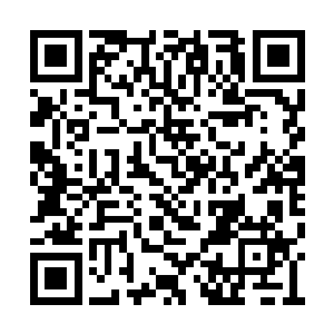 看着脸色苍白的拓拨野以及震撼不已的其余天骄二维码生成