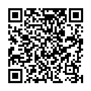 看着自家主子将一个为情离家出走的少女角色演得惟妙惟肖二维码生成