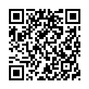 看着自家的两个孩子正围着两个小弟弟在打转二维码生成