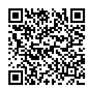 看着自己妈很是高兴的和保姆阿姨又是说又是笑的二维码生成