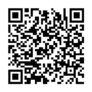 看着自己的一只手就在自己面前一段段的变成灰烬二维码生成