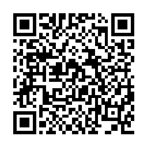 看着自己的分身今天着的要将自己给弄死在这里二维码生成