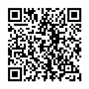 看着自己的生命值唰唰唰的就像是高台跳水一般的往下降落二维码生成