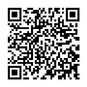 看着自己的身材如魅惑的妖孽般如此淋漓尽致地展现出来二维码生成