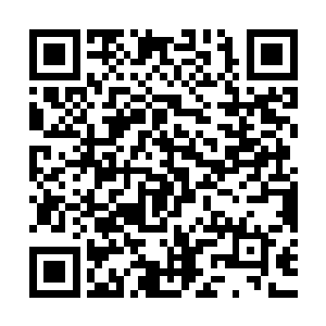 看着自己身后那两个已经因为爆炸的反冲击波而被震死了的夫妇二维码生成