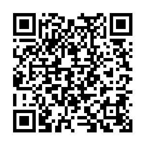 看着舞台前方那一张张因为过于激动而扭曲的脸庞二维码生成