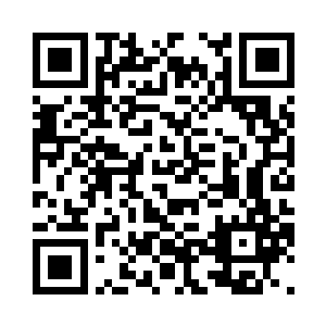 看着花蕊花瓣花萼花梗只似还在枝头二维码生成