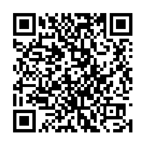 看着苏凡不动一时之间也是认为苏凡被自己吓傻了二维码生成