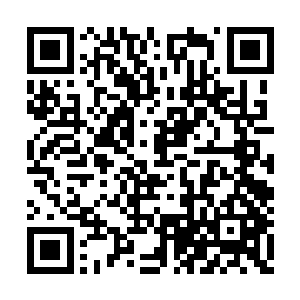 看着苏凡几人和北冥世家的人打了这么长的时间二维码生成