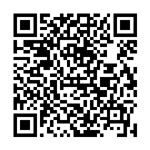 看着苏凡竟然在车上安装了两个喷射器顿时不由的骂道二维码生成