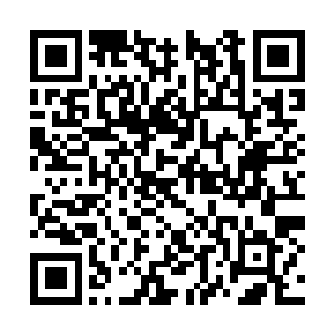 看着药田里的这些有着几百年到近千年不等的药草二维码生成