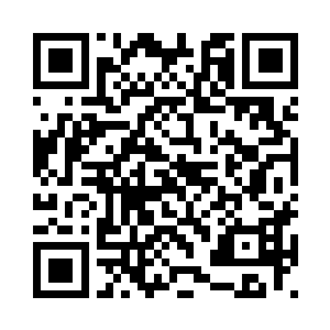 看着莱昂纳多那满脸不甘心的模样二维码生成