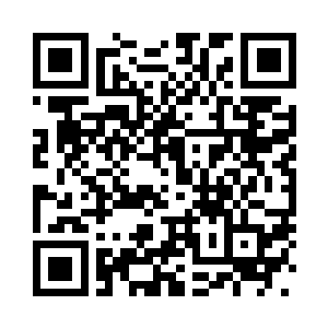 看着虚拟屏幕上的武器图片和数据二维码生成