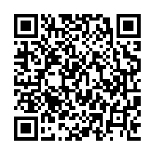 看着衣柜里面几乎全部都是黑白两种颜色的正装二维码生成