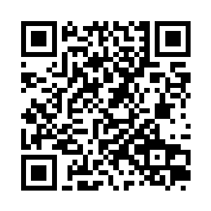 看着被白蚁侵略到只剩下黄土地的一大片丛林二维码生成