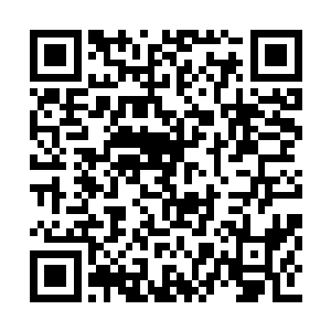 看着被自己打成猪头的对手跪在自己面前唱征服二维码生成