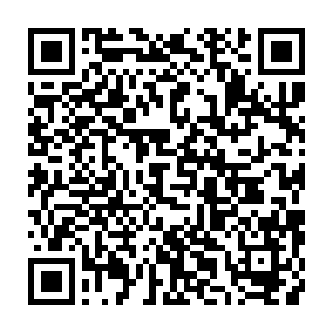 看着身前满脸是血 手还断了一只的麦基 菲尼斯的脸色变得十分的难看二维码生成