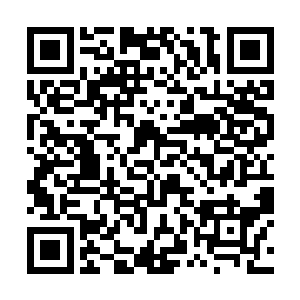 看着躺在地上痛苦呻吟的二十几个人脸色苍白的可怕二维码生成