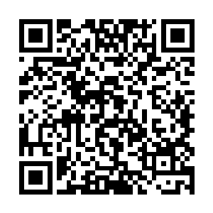 看着轰轰隆隆朝他们开过来的装载机没有丝毫的害怕二维码生成