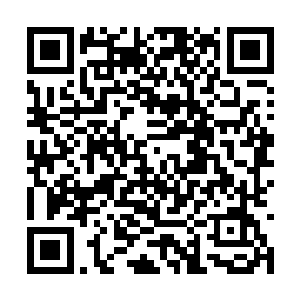 看着这个时候的风奇泽李阿文感觉心情畅快了许多二维码生成