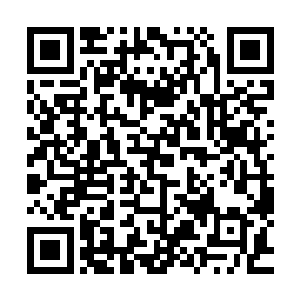 看着这名两百年前自己最欣赏的得意弟子如今穷途末路的模样二维码生成