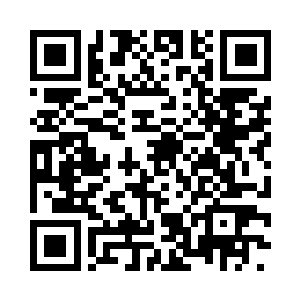 看着这在陌生中带着一丝熟悉的原野二维码生成