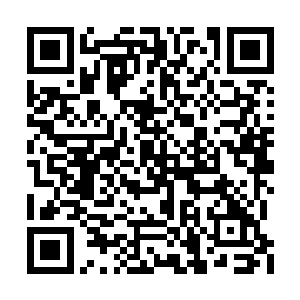 看着这样一脸高贵冷酷的师兄捧着一大束玫瑰花二维码生成