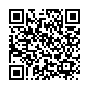 看着道魂界天地中数万道百丈宽的海带枝叶二维码生成