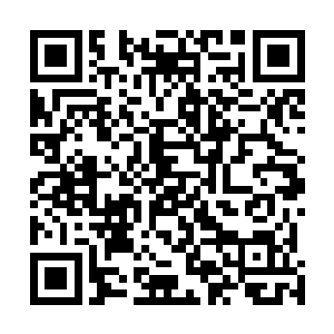 看着那一个个被包得像粽子一般的躺在洁白病床上的少年二维码生成