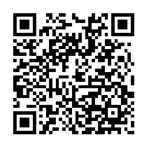 看着那一盆子花花绿绿不知道是什么东西的东西二维码生成