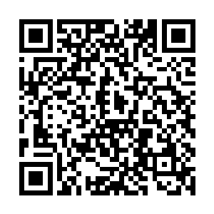 看着那两株外形一般模样的月白丝海棠打的难分难解二维码生成