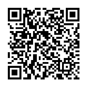 看着那个素来寡言的青心以无线寂寥的目光送走代离二维码生成