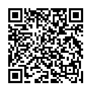 看着那中了仙术之后咕噜噜滚到了一旁嗷嗷叫的白色老虎二维码生成