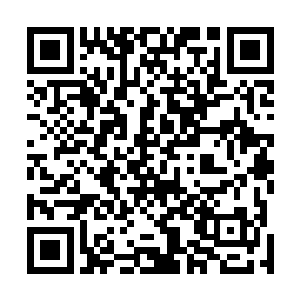 看着那些他从来瞧不明白的黑子和白子在棋盘上摆来摆去二维码生成