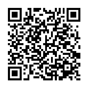 看着那些武器挂架上闪耀着寒光的一件件精良的武器二维码生成