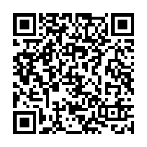 看着那些青藤在真理天枰的光辉下被灼烧成了粉末二维码生成
