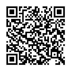 看着那具几乎是半透明的身体如灵巧的小鹿一般二维码生成