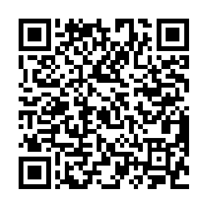 看着那在十二都天神煞大阵的作用下迅速成型的血巨人二维码生成