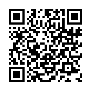 看着那在黑夜中宛如汇聚了万千珍宝于一身二维码生成