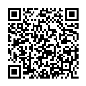 看着那小丫头拽着被单也不知道在跑个什么劲儿二维码生成