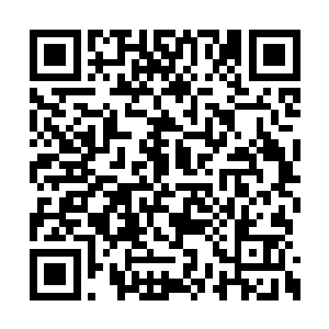 看着那巨猿凶灵不断追逐最后消失在黑色迷雾中二维码生成