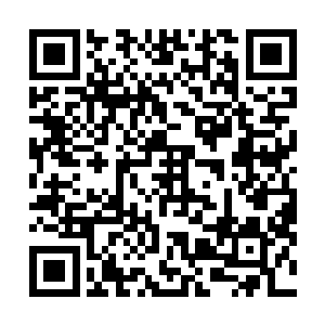看着那白森森的手骨连带着那还渗满了鲜血和人肉的手臂二维码生成