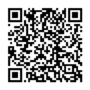 看着那被毒蝎绿色的鲜血以及白色的脑浆染得花花绿绿的爱剑二维码生成