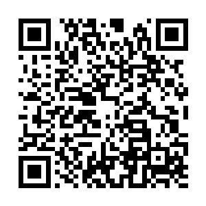 看着那说话前无意识转动的眼珠跟有些刻意的颤抖二维码生成