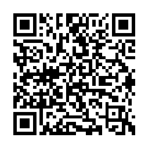 看着那鲜活的能量一点一点从雨果的身体里消失二维码生成