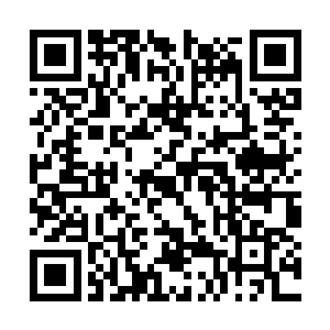 看着郡主的神色就知道殷兆丰肯定没说什么好话了二维码生成