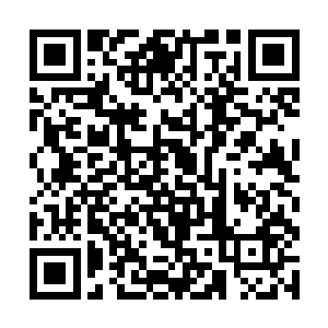 看着陈护院他们单方面的殴打她大伯父带来的那帮人二维码生成