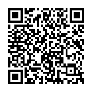 看着非空那张几乎受到整个部落女人喜欢的笑脸二维码生成