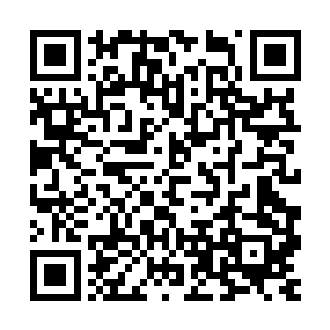 看着面前这个同样年轻却不得不在自己面前收敛起锋芒的年轻人二维码生成